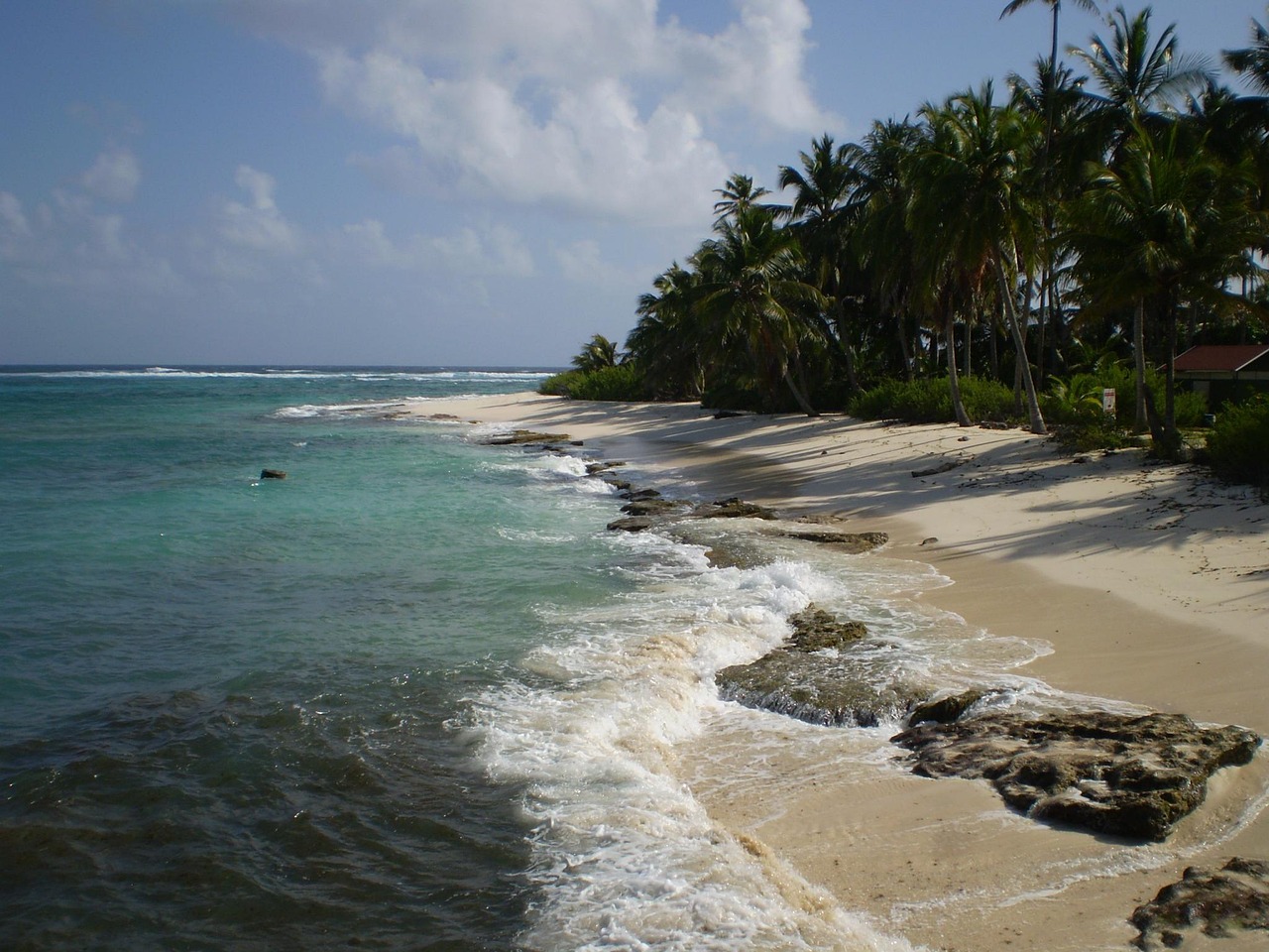 Group of snorkelers enjoying the ocean